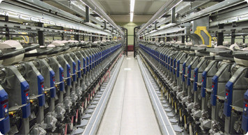 Aliquam erat volutpat